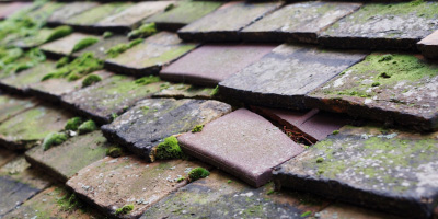 St Mary Cray roof repair costs